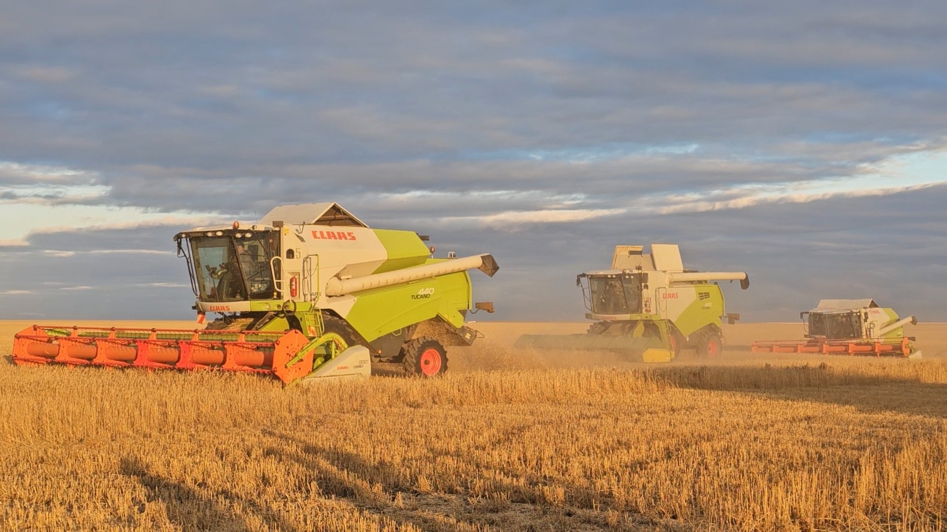Combine harvesters at work near Mänşük, Tselinograd District, Akmola Region, in September 2025. Photo: Office of the Prime Minister of Kazakhstan / Wikimedia Commons, CC BY 4.0.