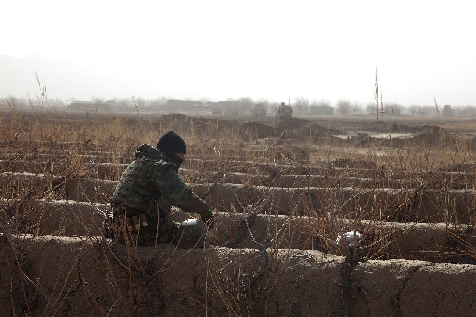A grape row in Zharay district, Kandahar province. Grapes are among the crops most exposed to a closed Pakistani border. Photo: Sgt. Jason N