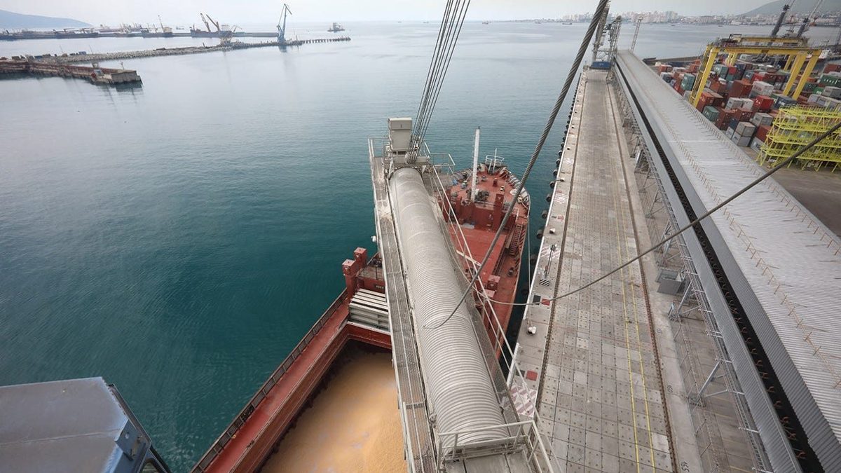 Grain is loaded onto a ship at the port of Novorossiysk in southern Russia. Ivan Studenov (CC BY-SA 4.0)